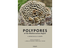 Polypores of the Mediterranean Region