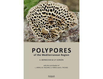 Polypores of the Mediterranean Region