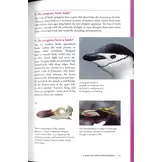 Penguins 101 - A Question-and-Answer Guide