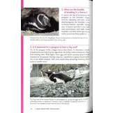 Penguins 101 - A Question-and-Answer Guide