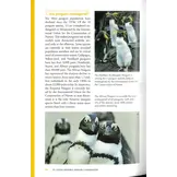 Penguins 101 - A Question-and-Answer Guide