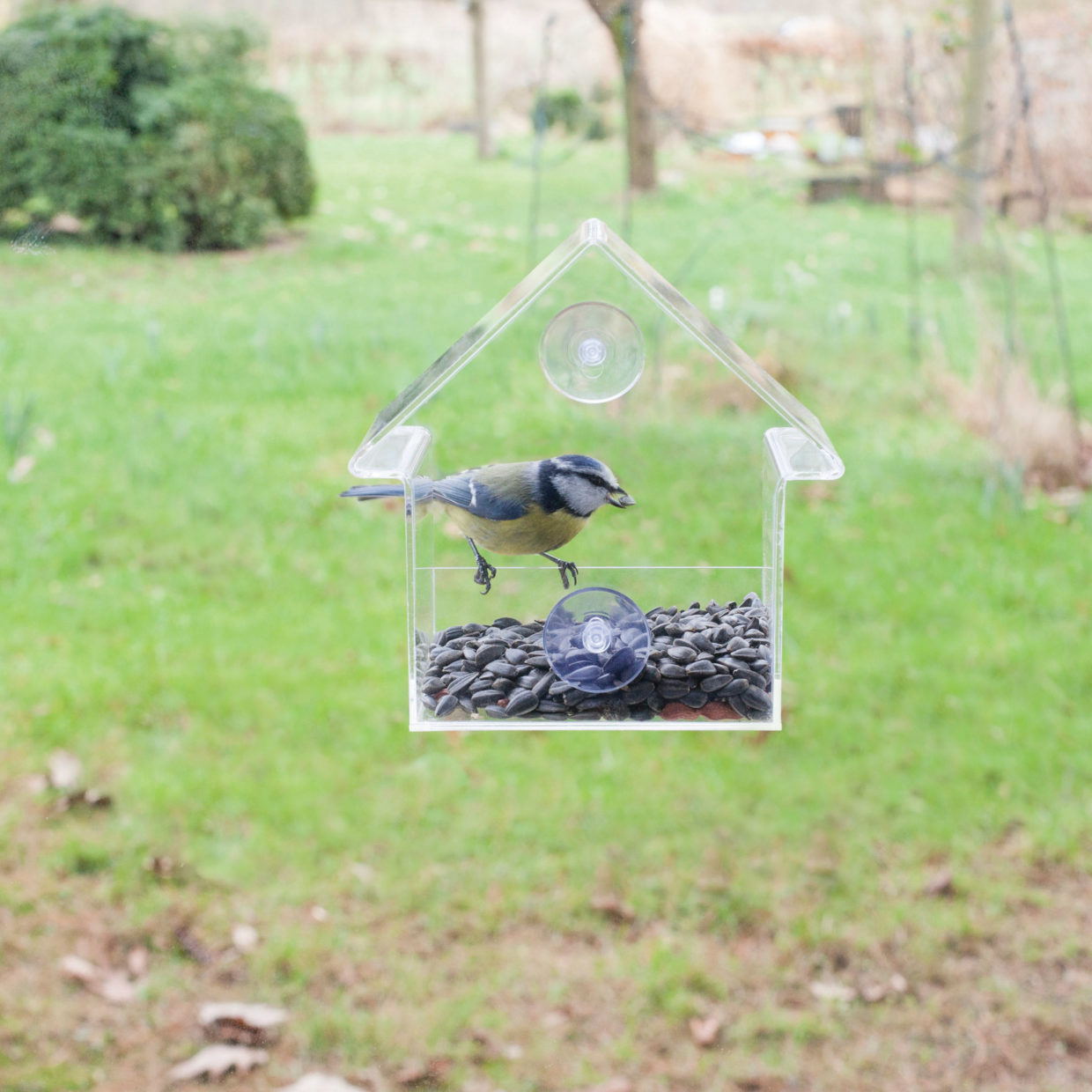 Acrylic window feeder house
