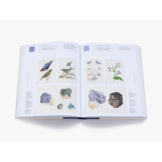 Nature's Palette - A colour reference system from the natural world