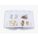 Nature's Palette - A colour reference system from the natural world