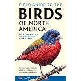 Field Guide to the Birds of North America