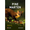 Pine Marten