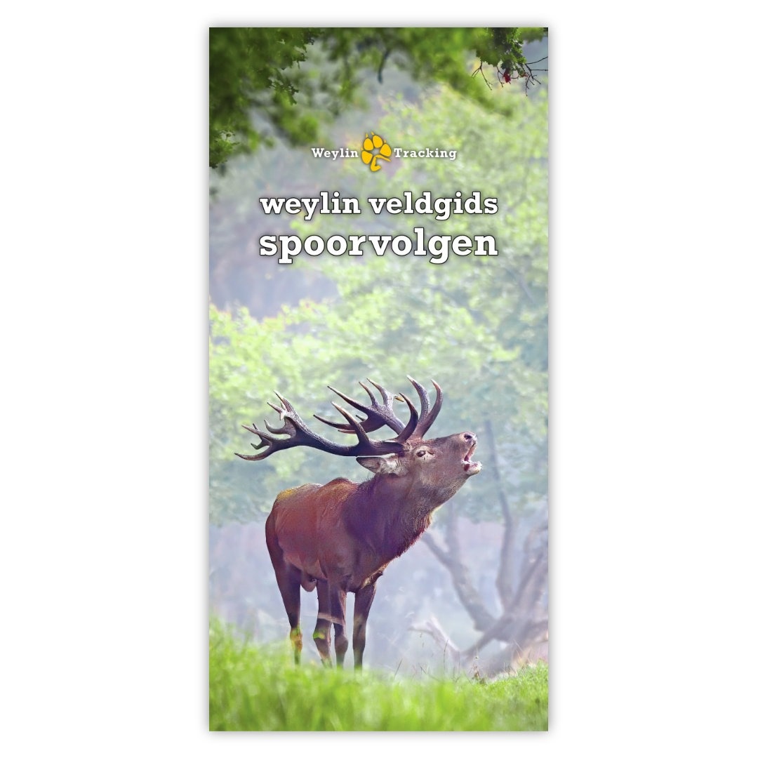 Weylin Veldgids Spoorvolgen