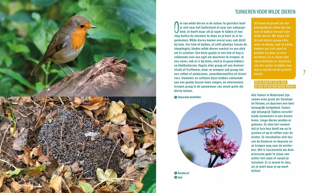Tuinieren voor wilde dieren - Kijk het hele jaar je ogen uit!