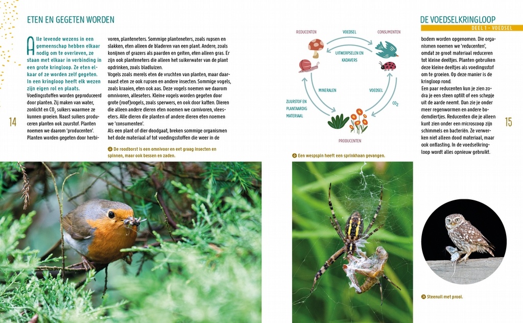 Tuinieren voor wilde dieren - Kijk het hele jaar je ogen uit!