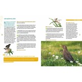 Tuinieren voor wilde dieren - Kijk het hele jaar je ogen uit!