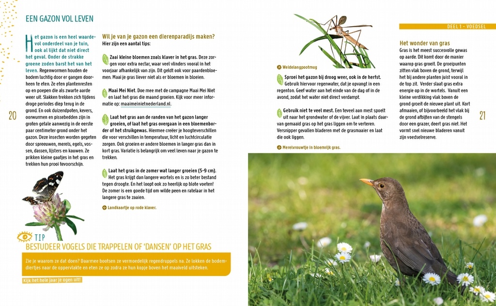 Tuinieren voor wilde dieren - Kijk het hele jaar je ogen uit!