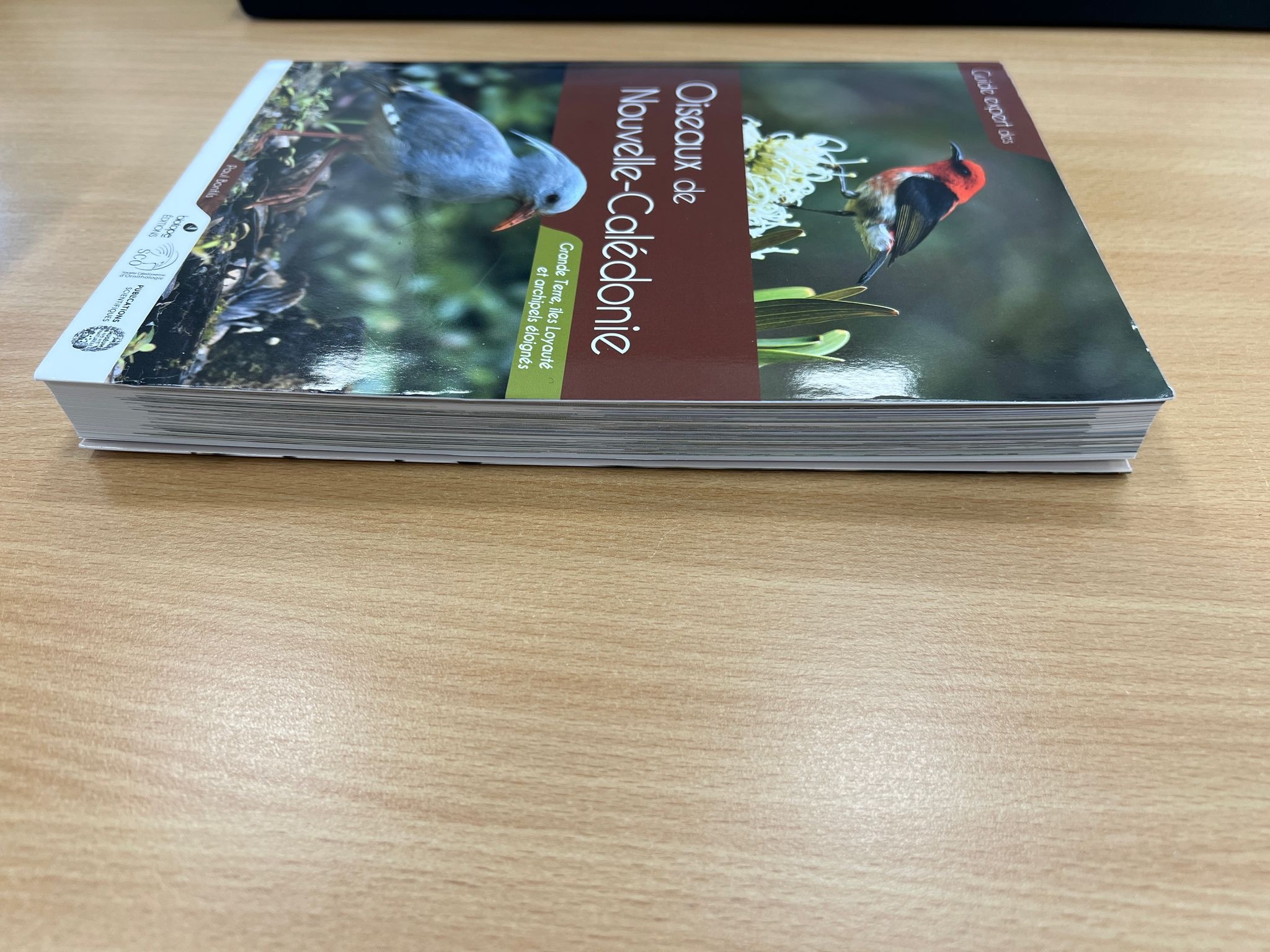 Damaged copy - Guide des Oiseaux de Nouvelle-Calédonie