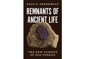 Remnants of Ancient Life