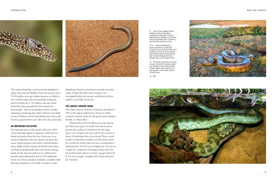 The Lives of Snakes: A Natural History of the World's Snakes