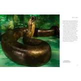 The Lives of Snakes: A Natural History of the World's Snakes