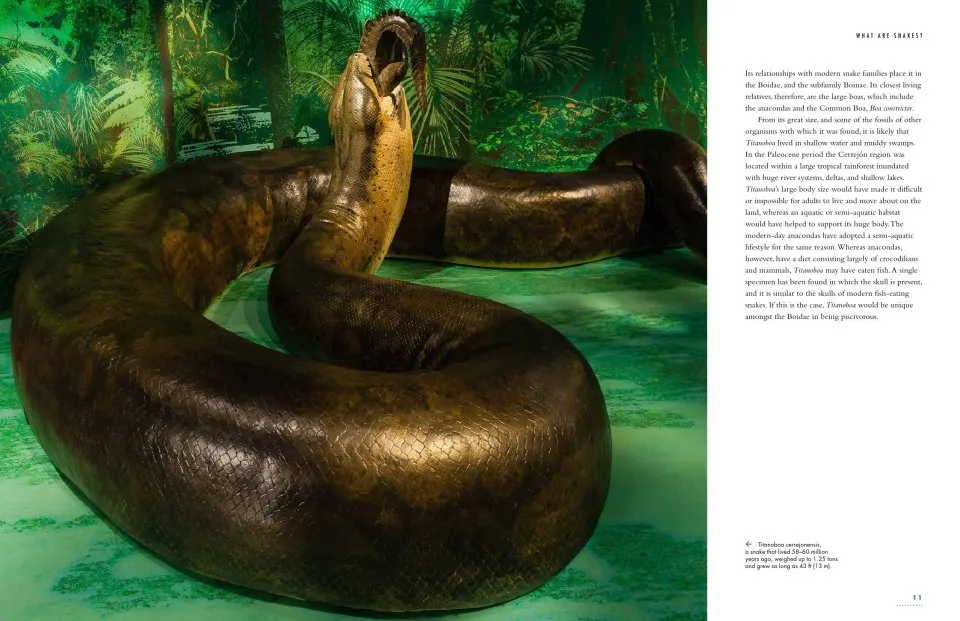 The Lives of Snakes: A Natural History of the World's Snakes