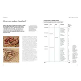 The Lives of Snakes: A Natural History of the World's Snakes