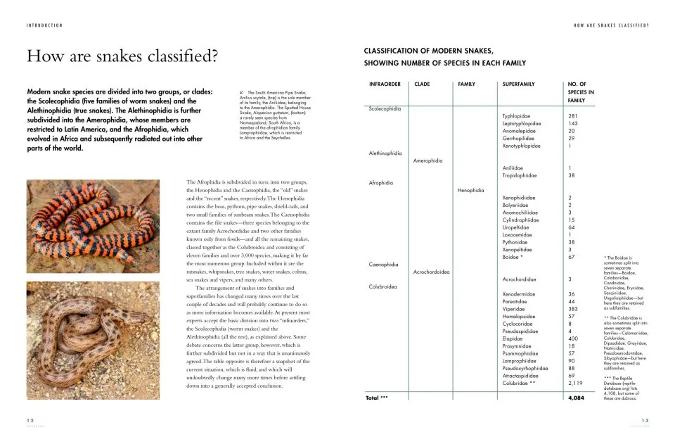 The Lives of Snakes: A Natural History of the World's Snakes