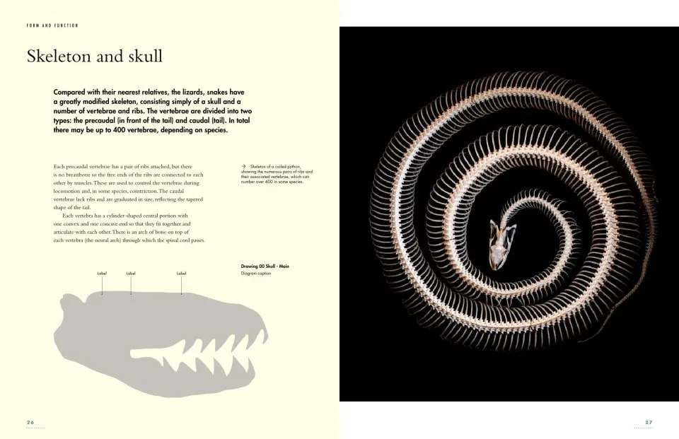 The Lives of Snakes: A Natural History of the World's Snakes