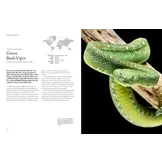 The Lives of Snakes: A Natural History of the World's Snakes