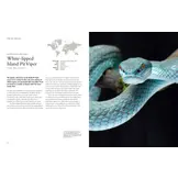 The Lives of Snakes: A Natural History of the World's Snakes