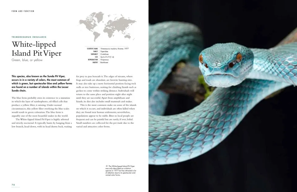 The Lives of Snakes: A Natural History of the World's Snakes