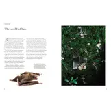 The Lives of Bats: A Natural History