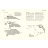 The Lives of Bats: A Natural History