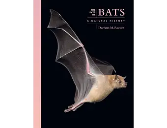 The Lives of Bats