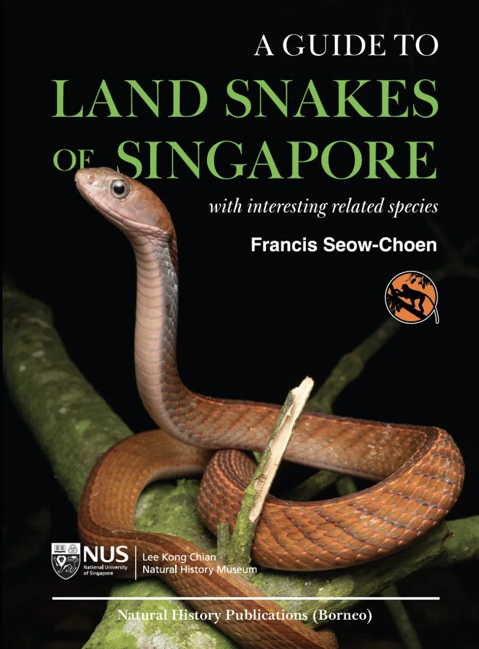 A Guide to Land Snakes of Singapore -  with interesting related species