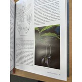 Damaged copy - Trees of New Guinea