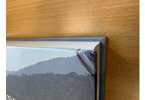 Beschädigte Kopie - Trees of New Guinea