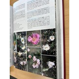 Beschadigd exemplaar - Guide to the Flowers of Western China