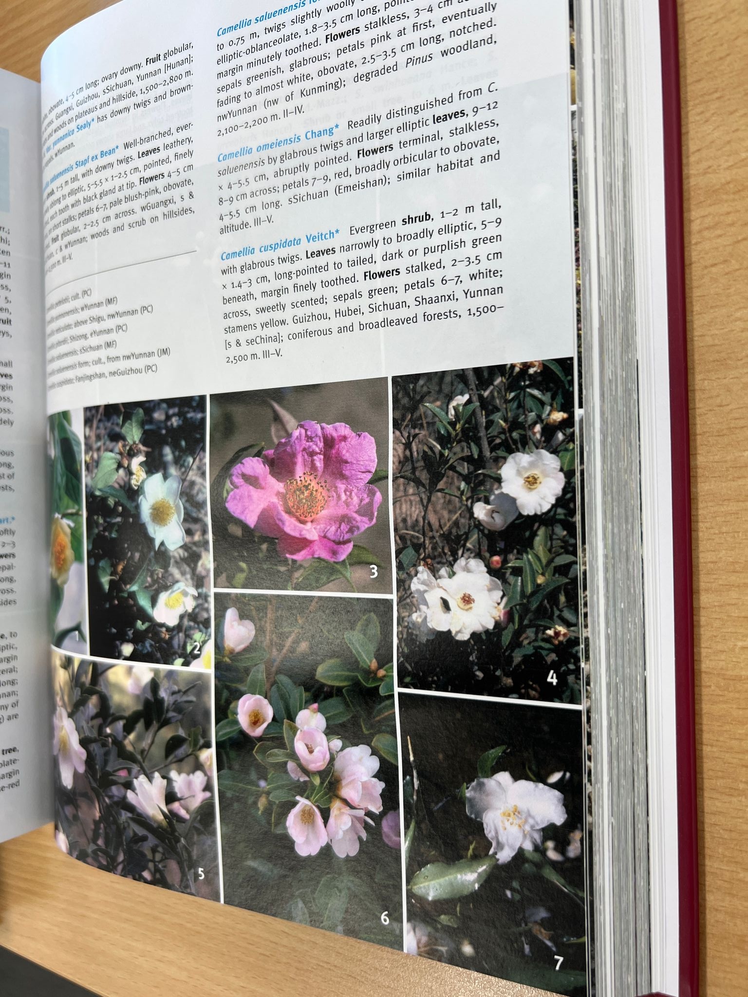 Beschädigte Kopie - Guide to the Flowers of Western China