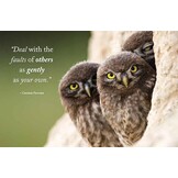 Wisdom of Owls