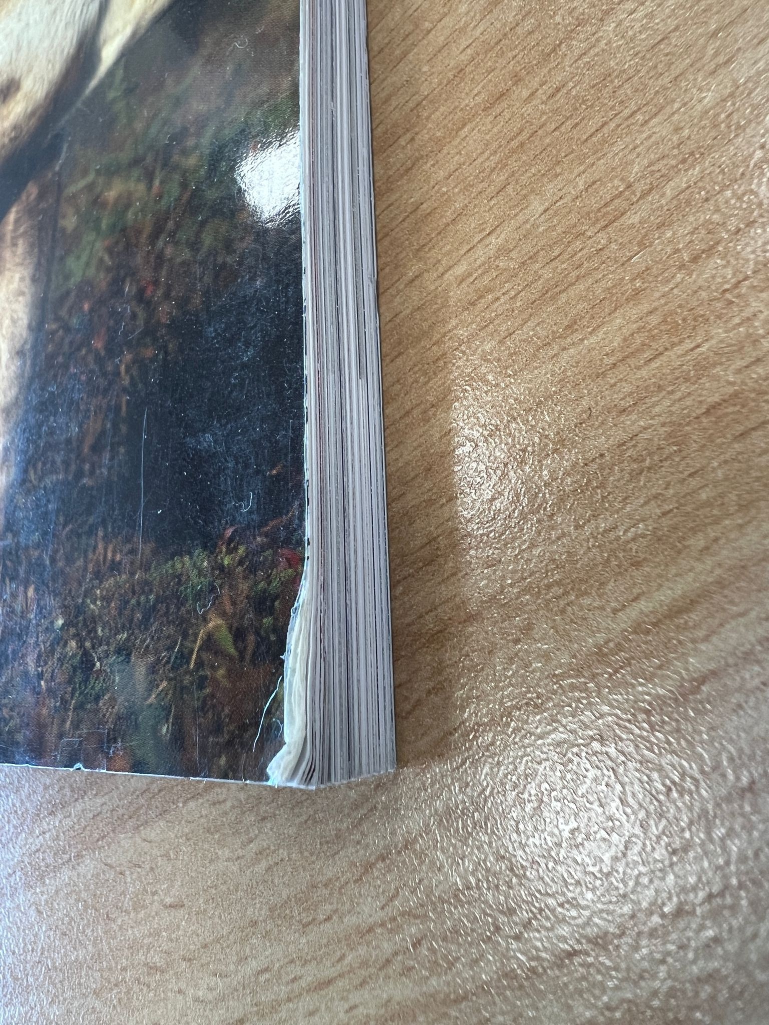 Damaged copy - Caribou - Wind Walkers of the Northern Wilderness