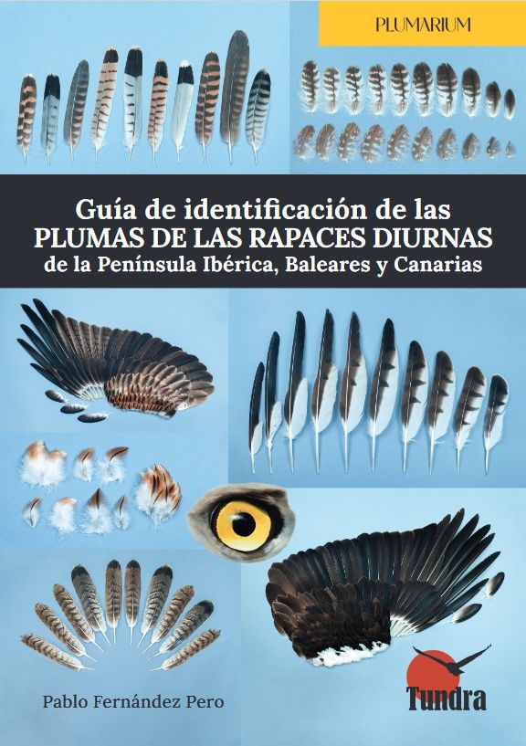 Guía de identificación de las plumas de las rapaces diurnas de la Península Ibérica, Baleares y Canarias