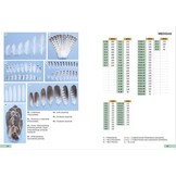Guía de identificación de las plumas de las rapaces diurnas de la Península Ibérica, Baleares y Canarias