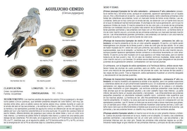 Guía de identificación de las plumas de las rapaces diurnas de la Península Ibérica, Baleares y Canarias