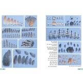 Guía de identificación de las plumas de las rapaces diurnas de la Península Ibérica, Baleares y Canarias