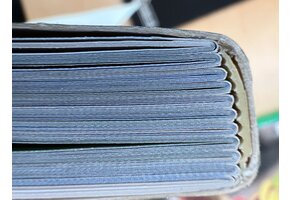 Damaged copy - Birds of the Masai Mara