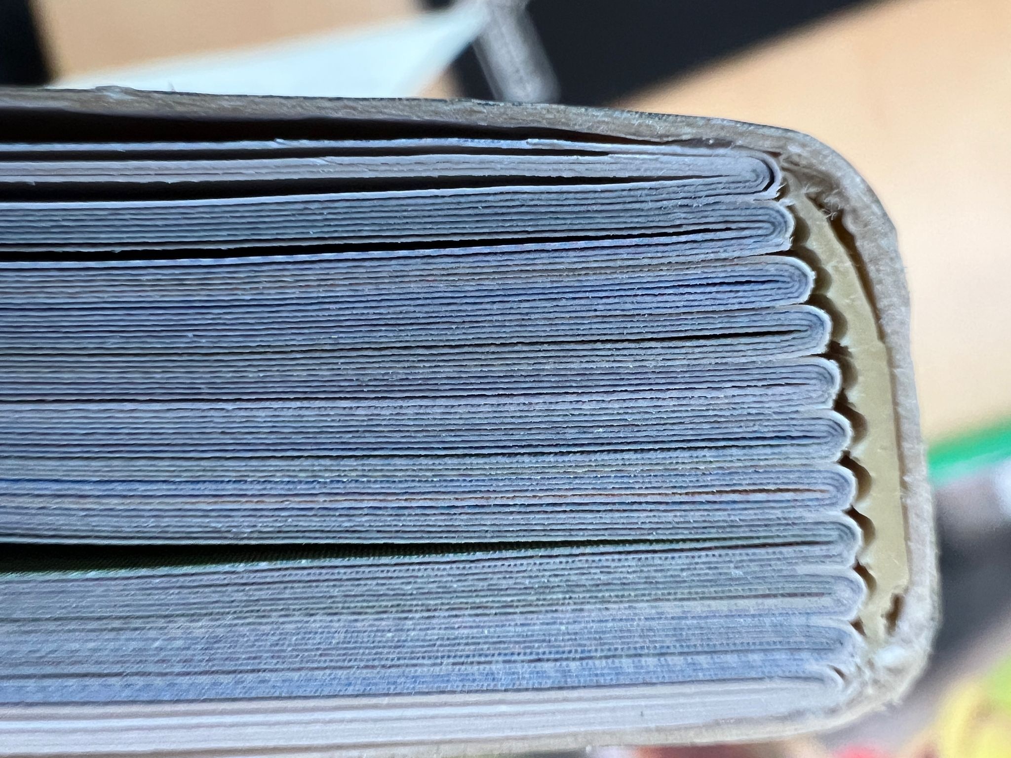 Damaged copy - Birds of the Masai Mara