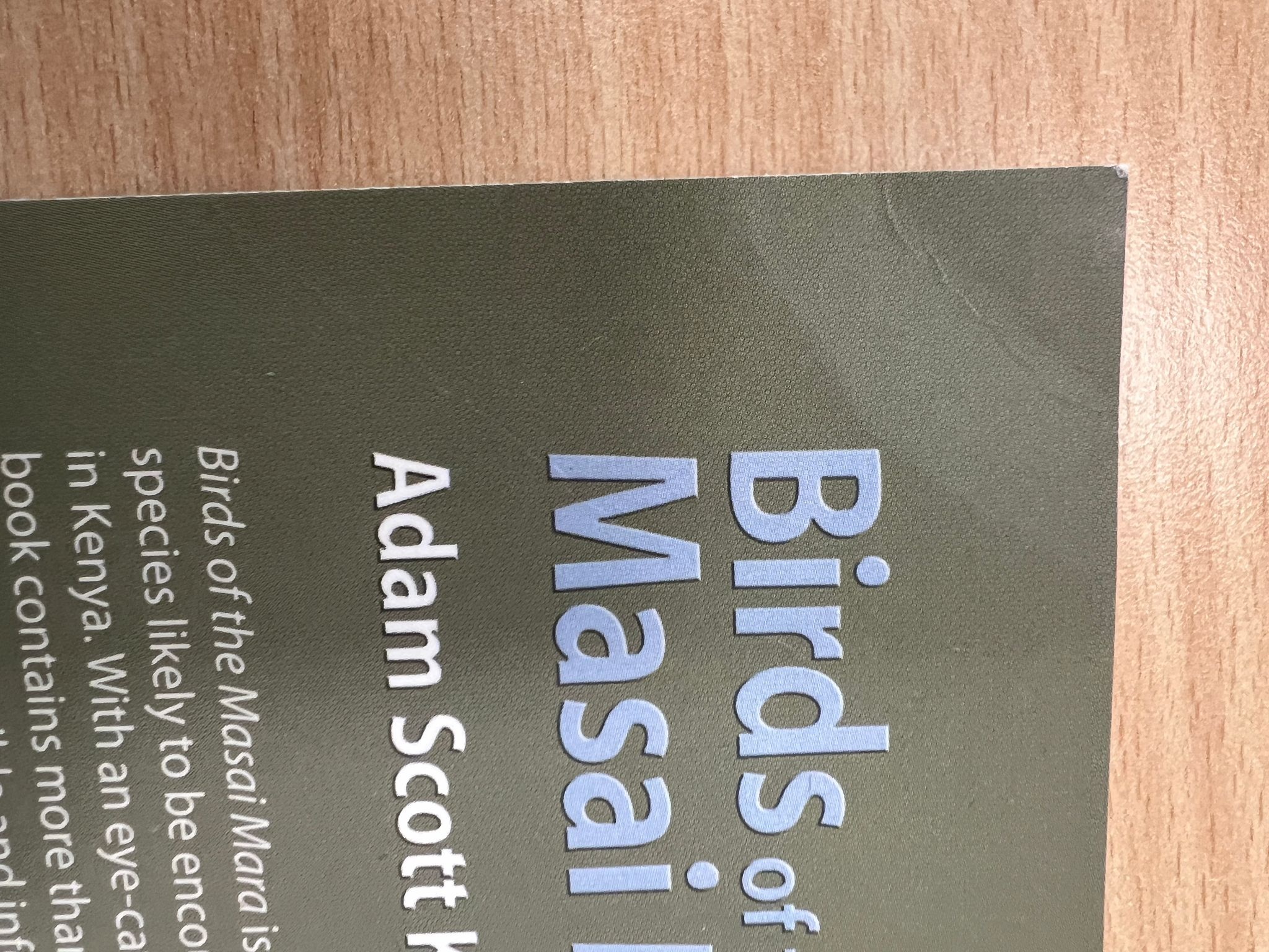 Beschädigte Kopie - Birds of the Masai Mara