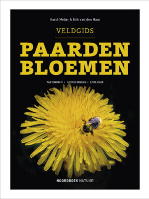 Veldgids Paardenbloemen - taxonomie - herkenning - ecologie