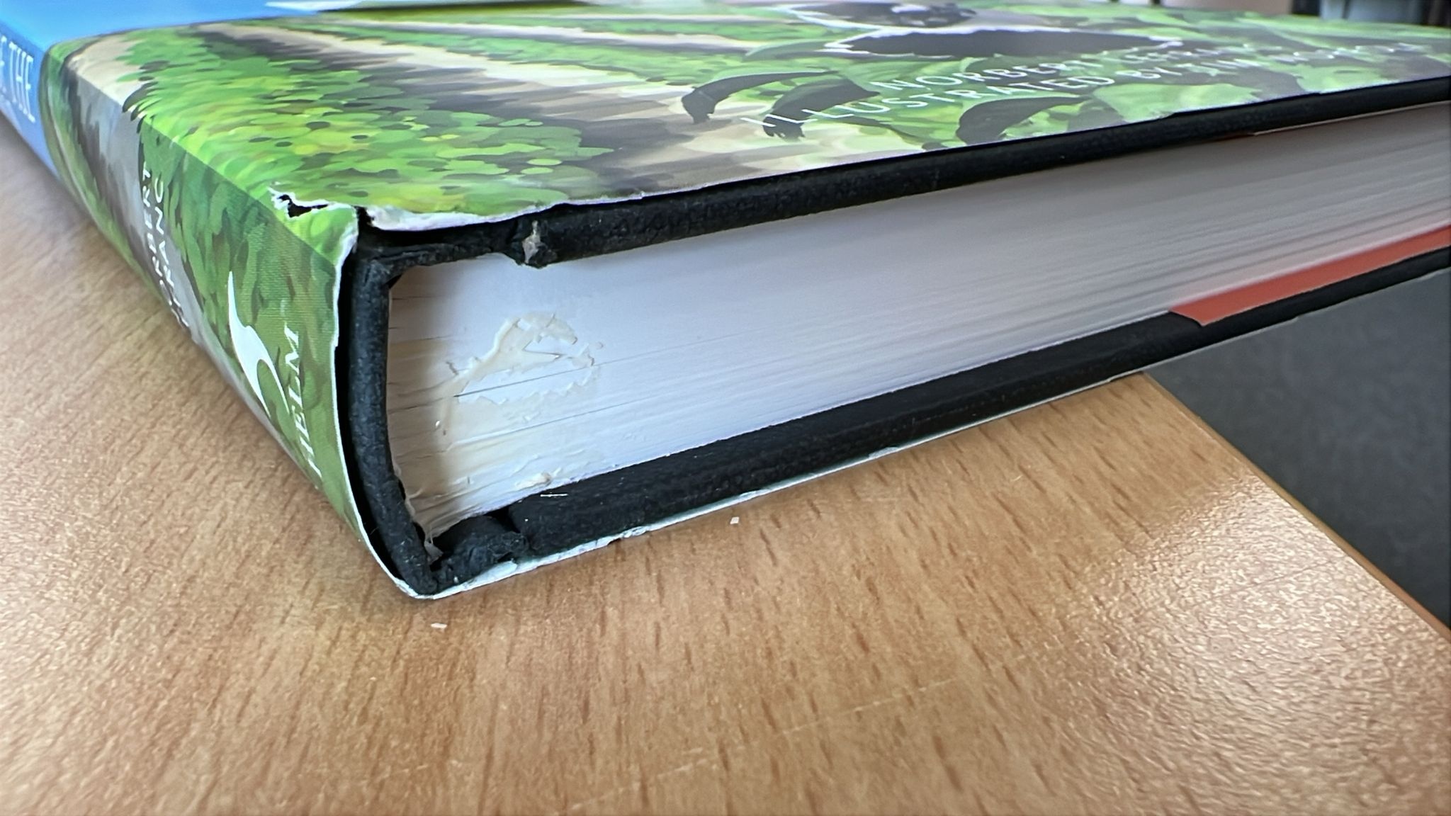 Damaged copy - Shrikes of the World
