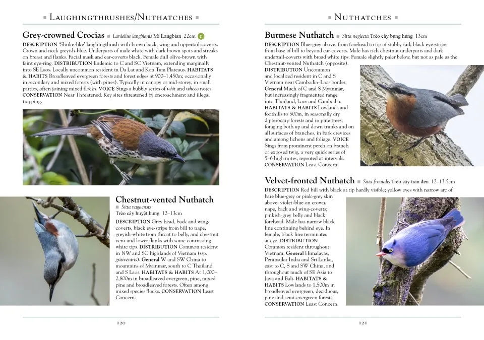 A Naturalist's Guide to the Birds of Vietnam