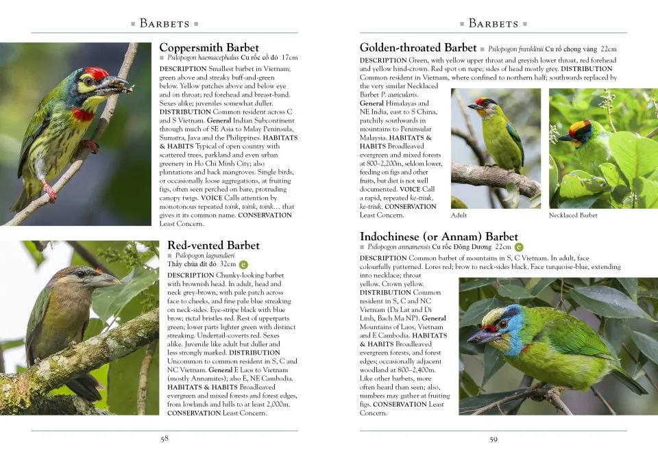 A Naturalist's Guide to the Birds of Vietnam