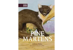 Pine Martens