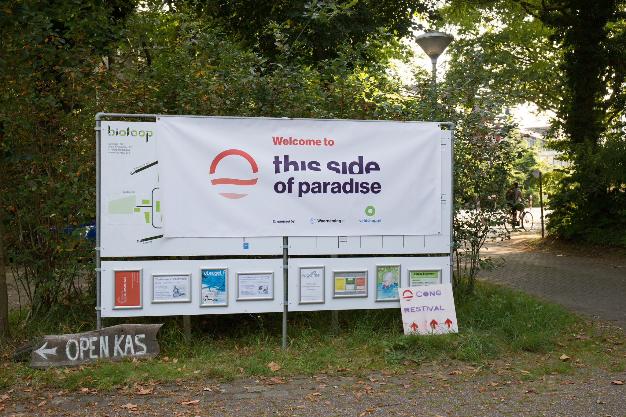 Waarom je This Side of Paradise niet wilt missen!