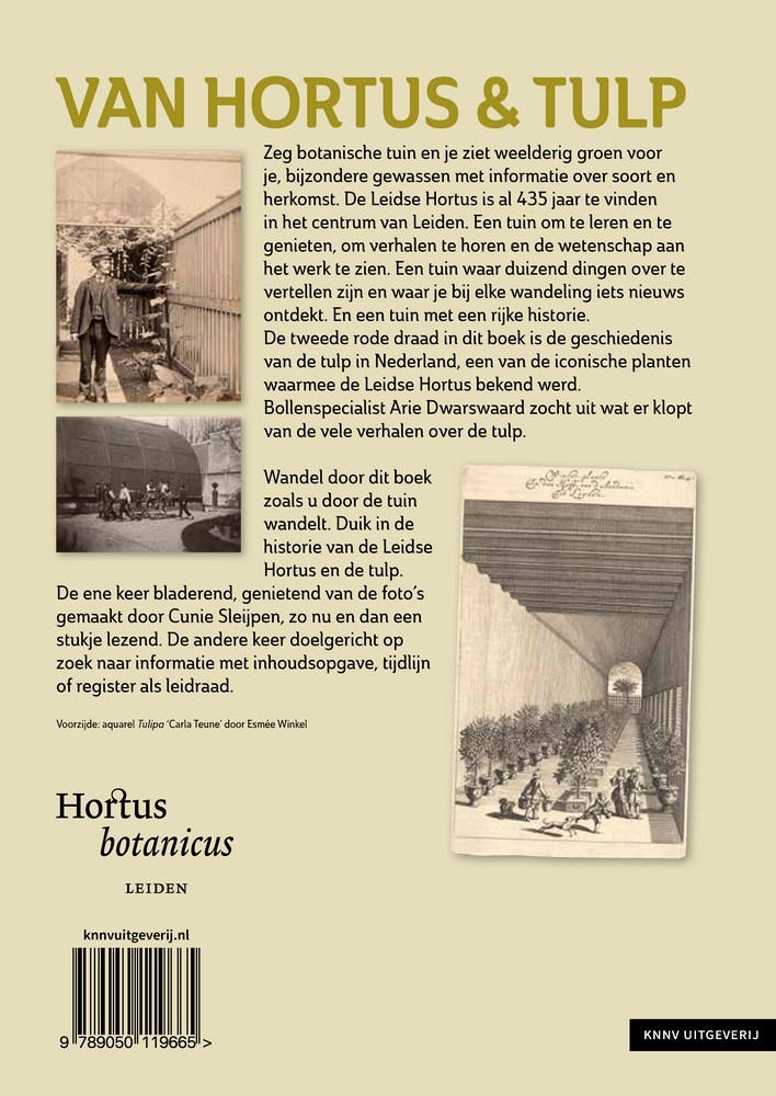 Van Hortus & tulp - Wandeling door 435 jaar Leidse Hortus